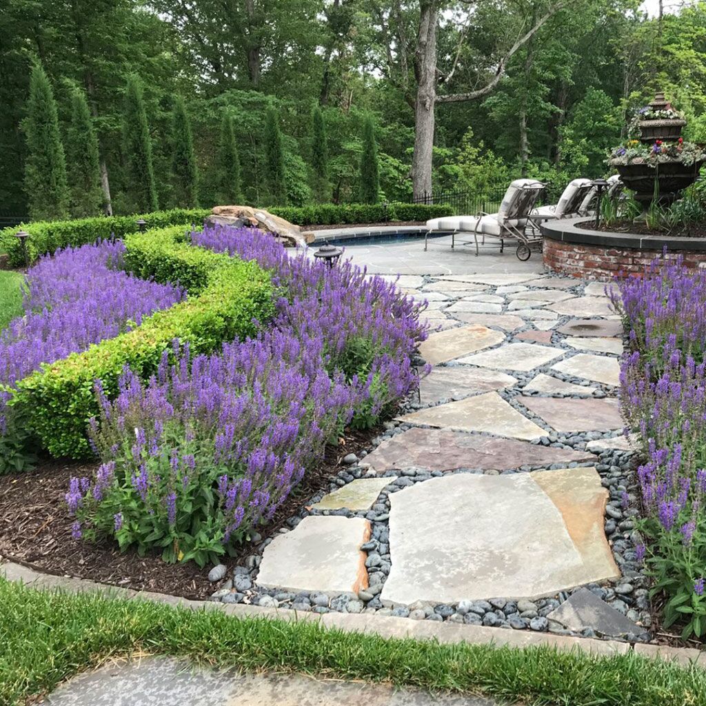 大型本 Ornamental Plants in the Landscape Manual of Woody Landscape Plants: Their Identification